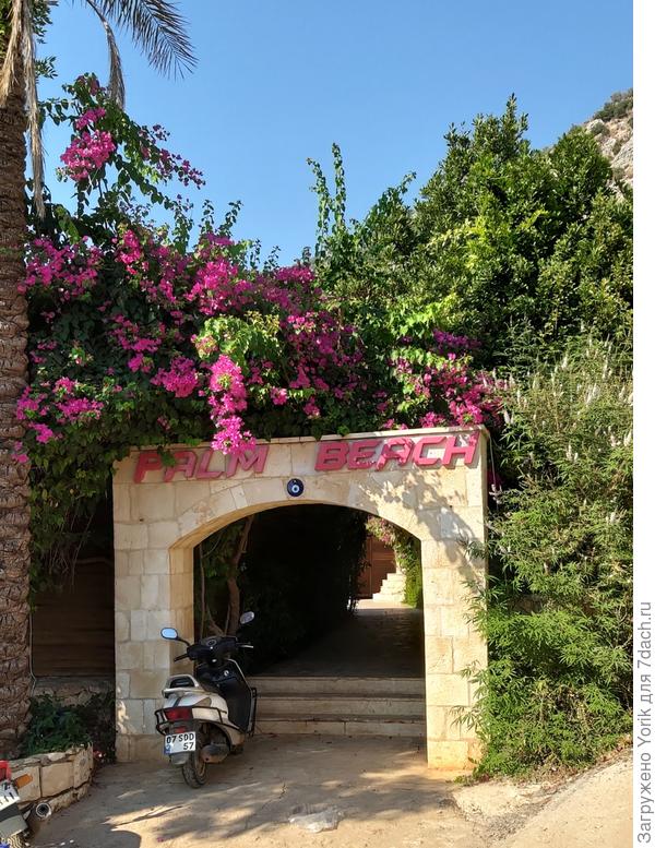 Эффектно смотрится у входа