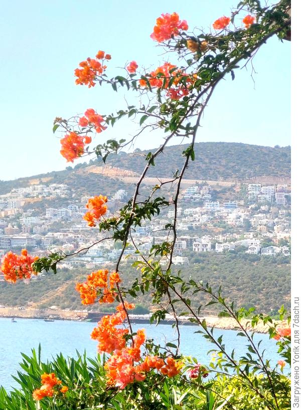 наверное красиво