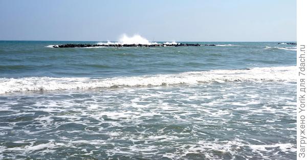 тако вот количество людей