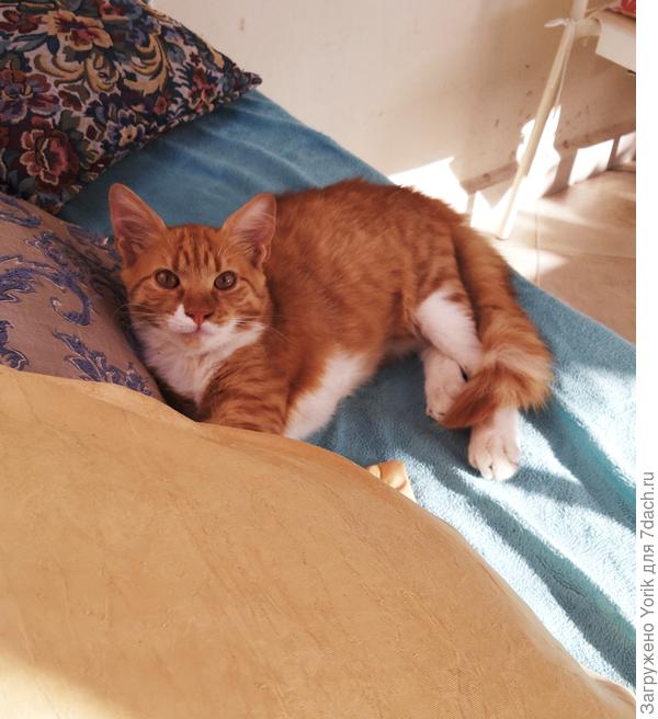 Теперь отдыхать перед вечерней охотой