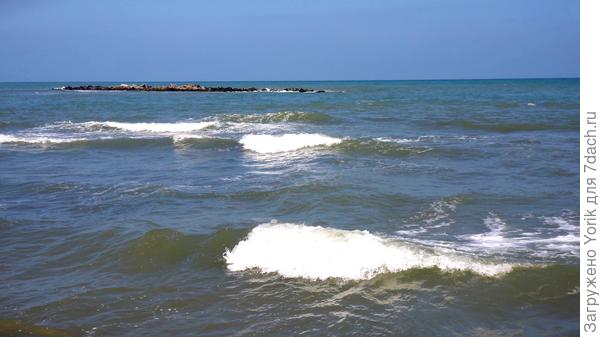 К выходным подтянутся дачники