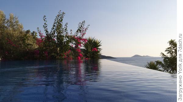 Бугенвеллея на закате