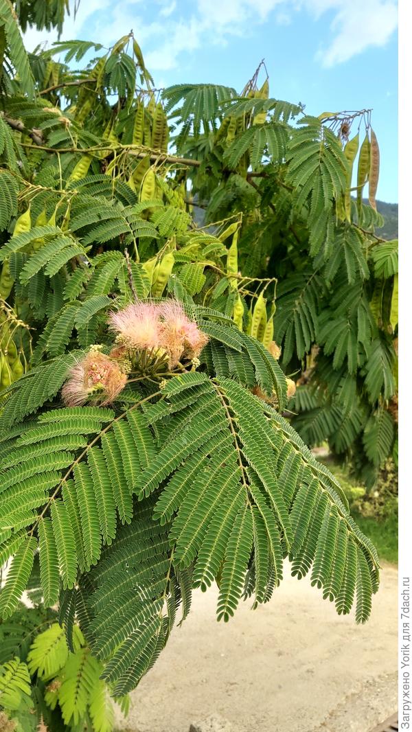 Красиво и неожиданно