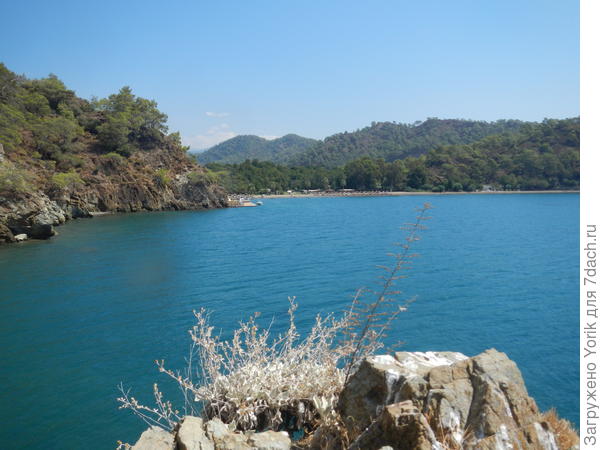 А красивых уголков много. Средиземное море и реликтовая роща амбровых деревьев (вдалеке на берегу)