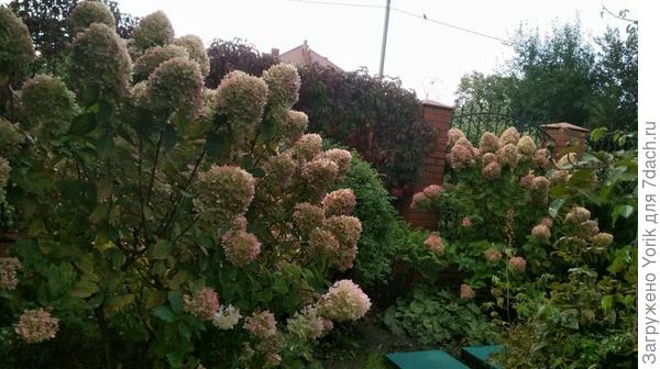 вот Вам &quot;непонятный&quot; уголок