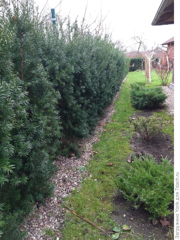 Пространство за беседкой