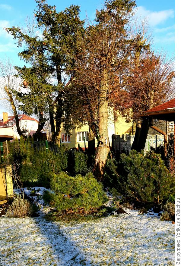 сейчас вот так