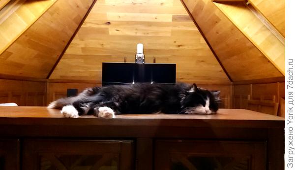 Брунгильда решила что сегодня она здесь отдыхает