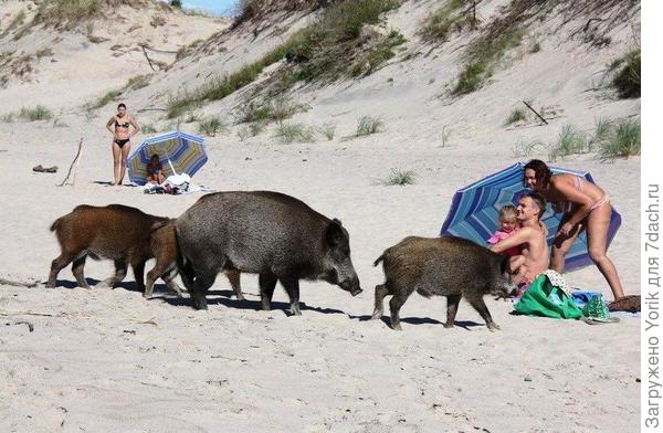 Впечатлений не меньше будет