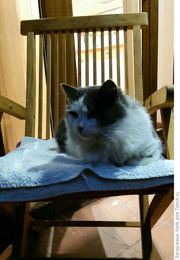 Я кофе пью, а он о чем то своём думает. Никто никому &quot;в душу не лезет&quot;