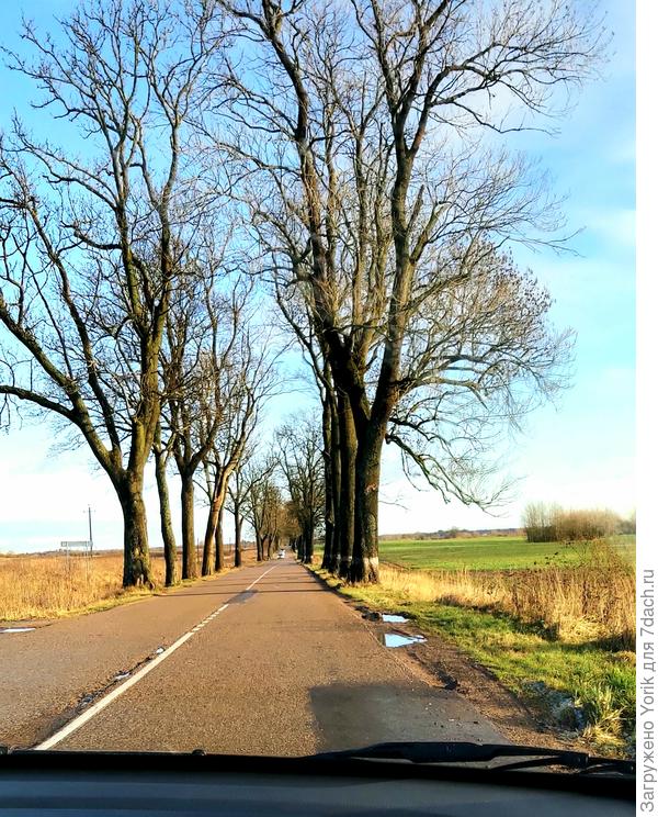 Заснеженных просторов не наблюдалось