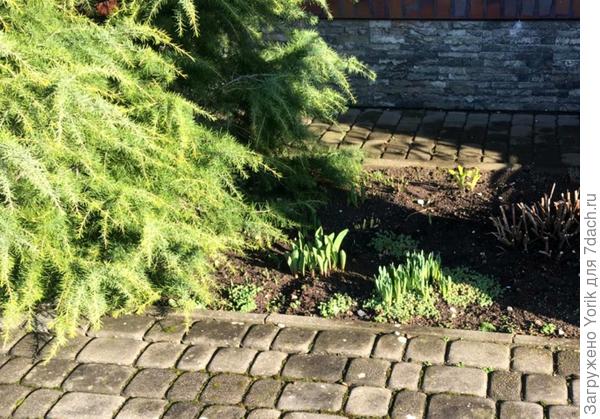 Но рано, или поздно, зима заканчивается