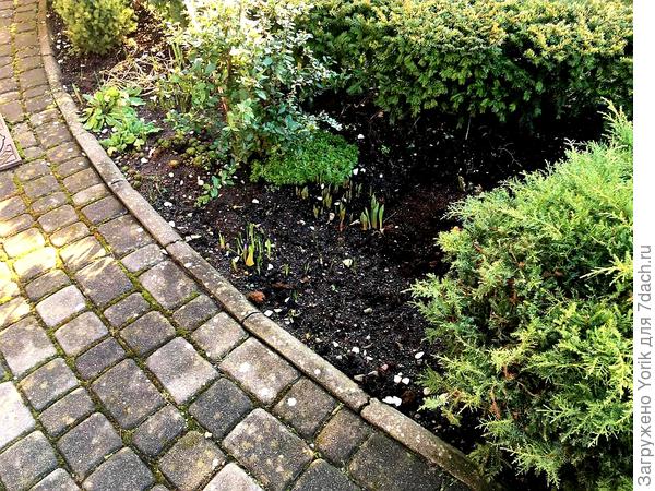 Вот и пережили зиму