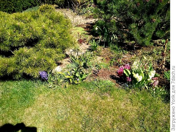 Зелень из "зимней", переходит в "весеннюю"