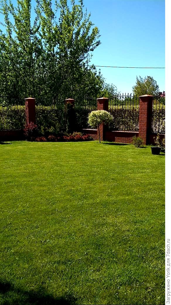 у кого посев, у кого стрижка