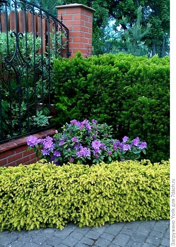 вечер, сухо, и ждём дождя