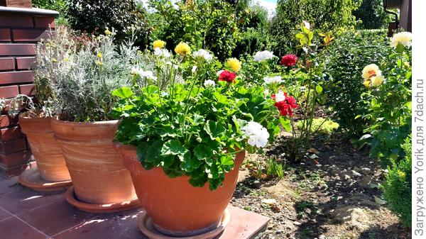 А в шаговой доступности уже все по другому