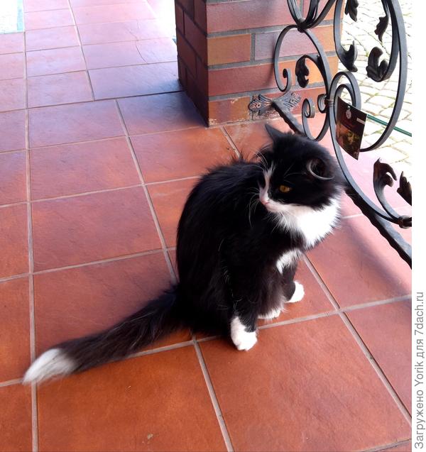 Ну, и куда же без Брунгильды