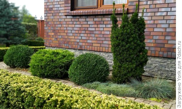 Называю "Мемориально - парадная клумба".