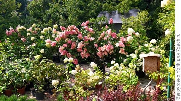 Вот то что не продавалось за весну и лето, ждёт своих  покупателей осенью.