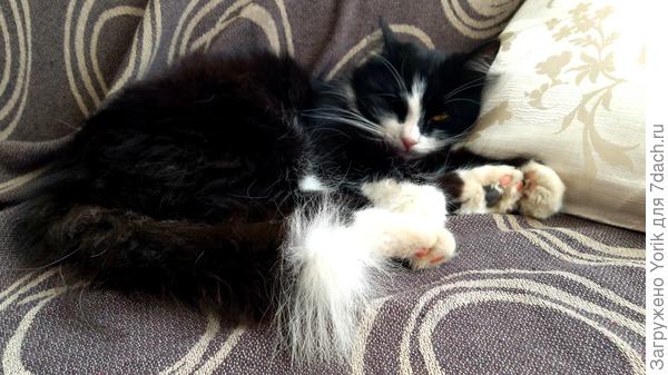 Радую своим присутствием