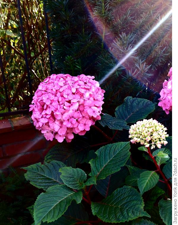 Вот такая, картина маслом