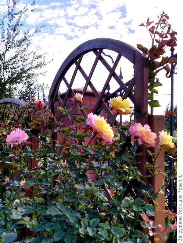 Кто скажет, что октябрь?