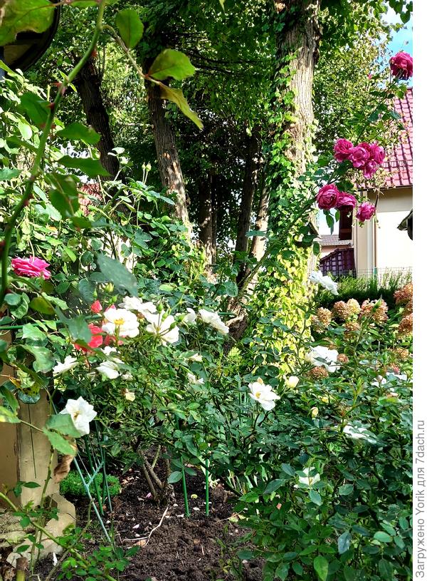 Еще немного лета