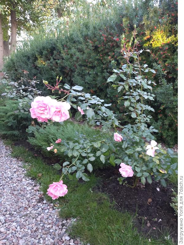 Вот она сейчас