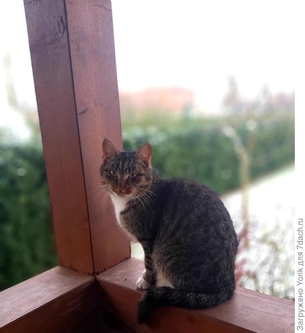 Бусинка, собственной персоной