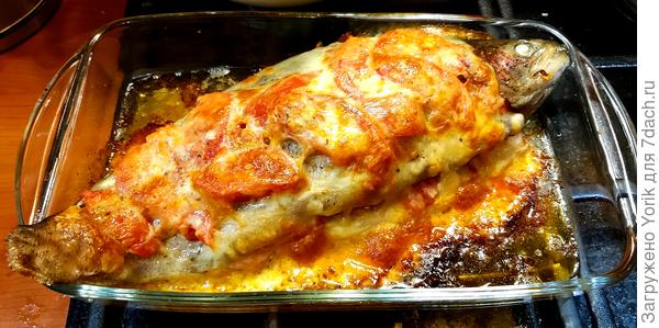 Вот вчера, использовал при запекании рыбы