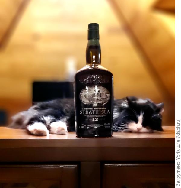 Компания для просмотра