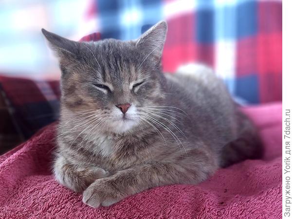 Тут еще одна подружка нарисовалась