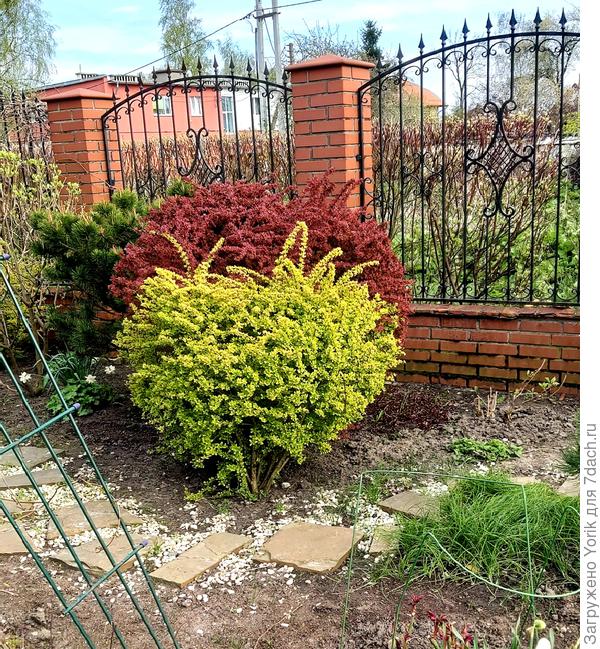 Там, где пехота не пройдёт И бронепоезд не промчится, Угрюмый танк не проползёт, Там пролетит стальная птица.