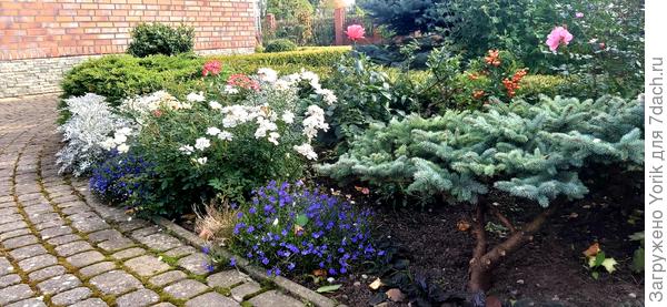 Клумба у входа.