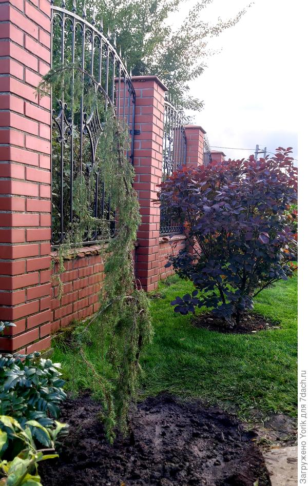 Вот, нашел фото годичной давности