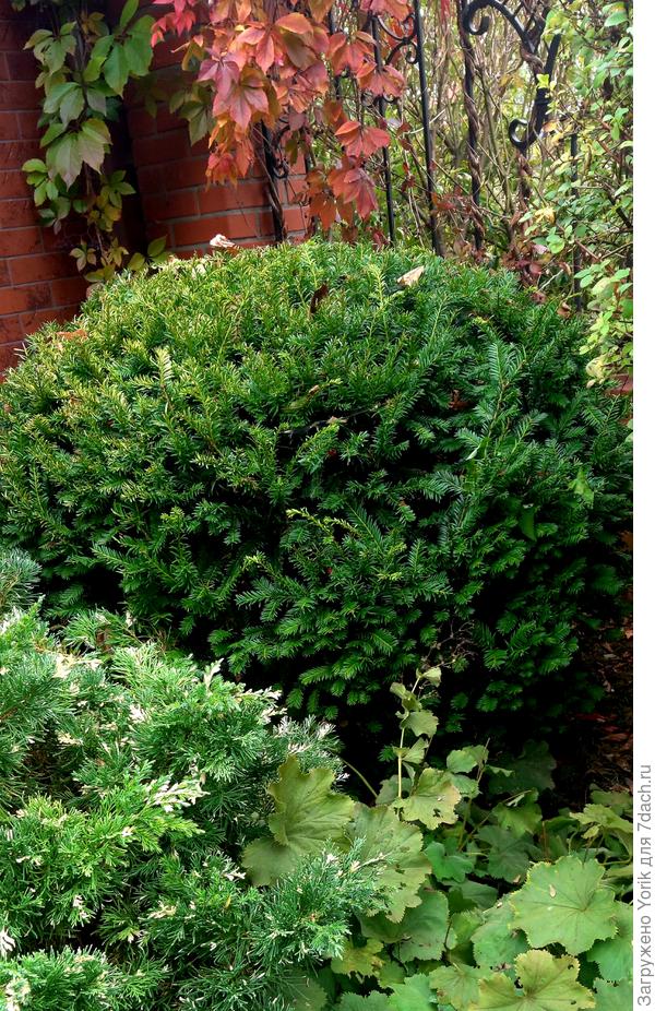 Ну а у этого еще все впереди, хотя может и там останется