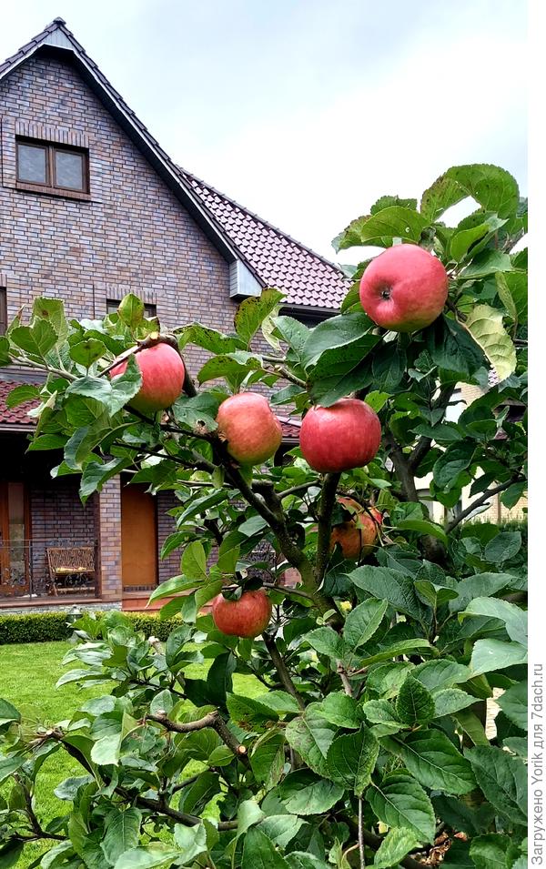 Остатки урожая (неделя назад)