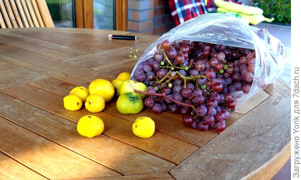 А это соседский виноград