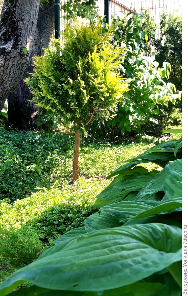 В &quot;диком уголке&quot; , до переезда