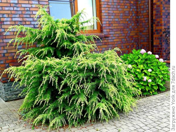 Может не &quot;парадно&quot;, по по-моему сочетаются