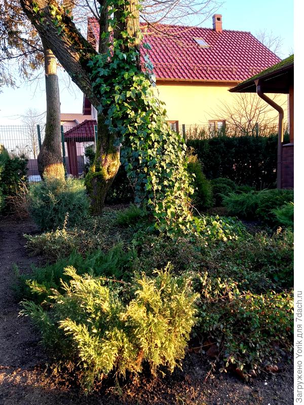 31 декабря 2020 года