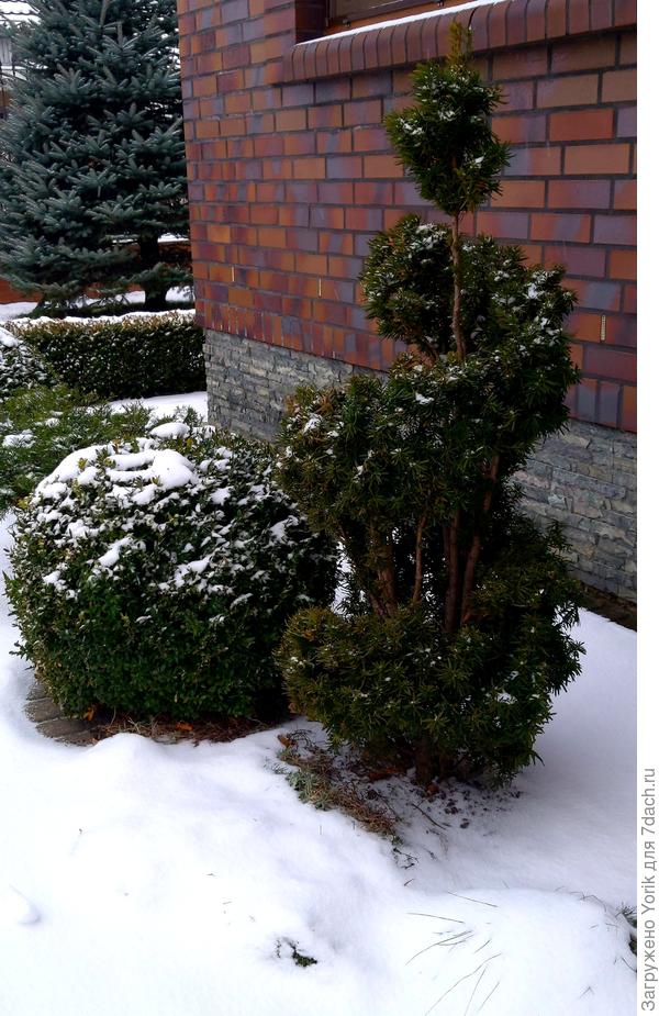 Сегодня выглядит вот так