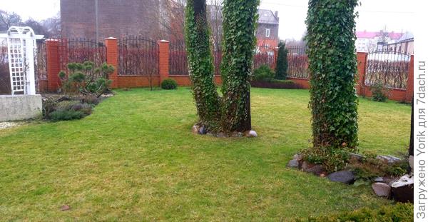 Пришла пора &quot;зелёной&quot; зимы