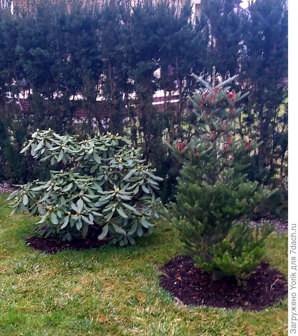 Раз уж померил, то и сфотографировал