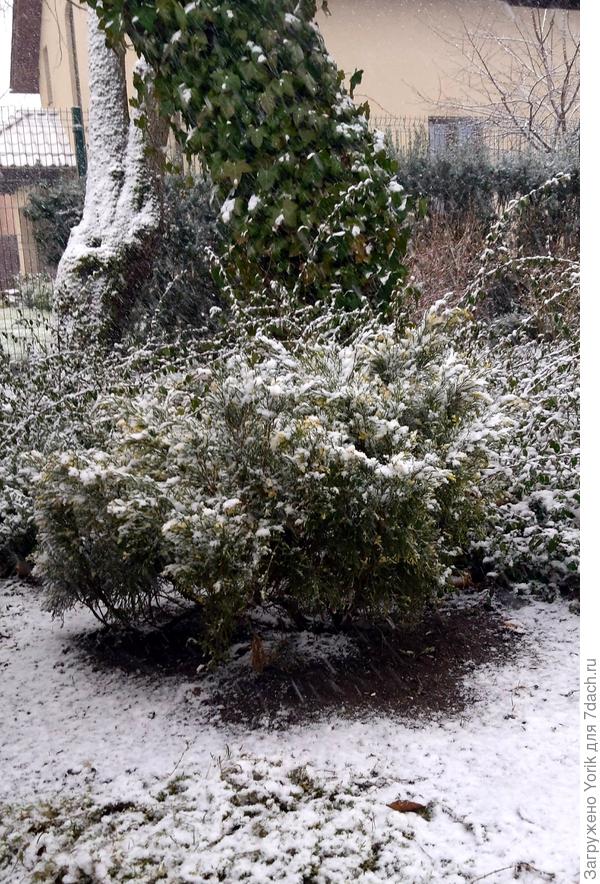 Пока не засыпало снегом