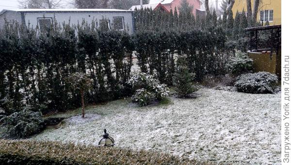 Начало снегопада. На улице -2