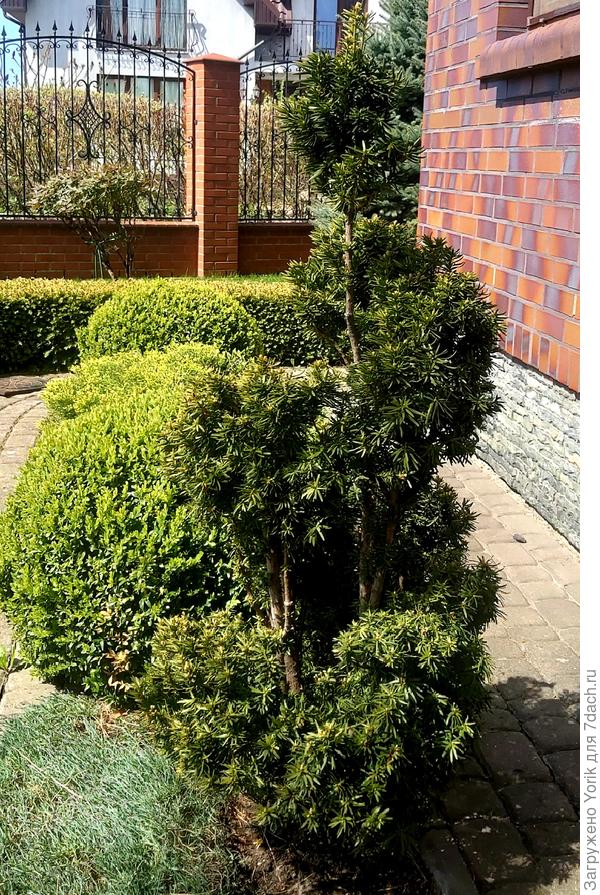 Начинается загущение