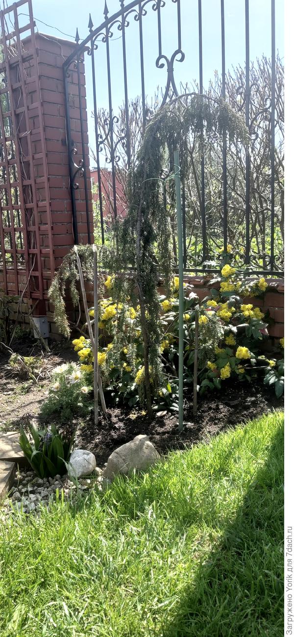 Один из проектов композиции