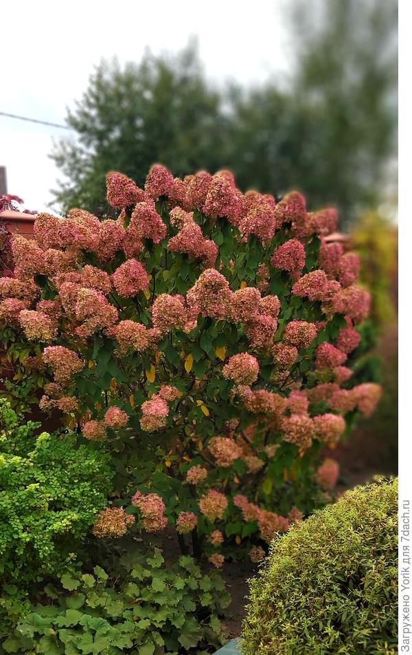 Вот она прошлой осенью